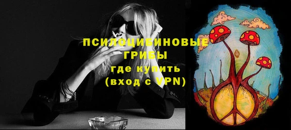 стафф Карпинск