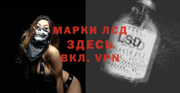 прущие грибы Касимов