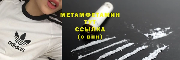 прущие грибы Касимов