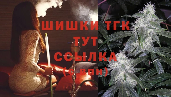 спиды Кинешма