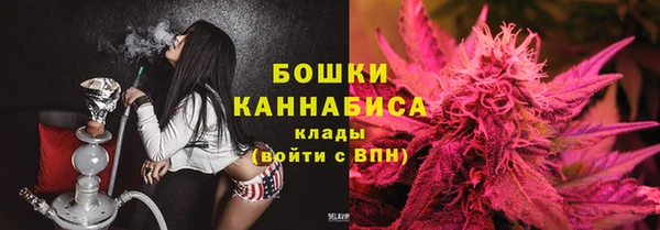 стафф Карпинск