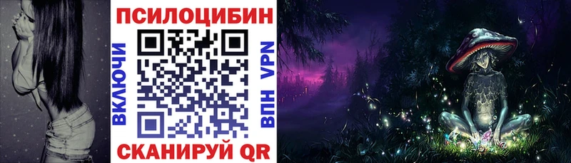 Купить  Далматово  Галлюциногенные грибы мухоморы 