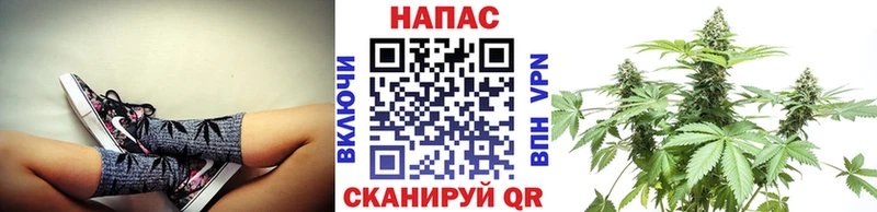 Канабис Amnesia  Купить  Далматово 